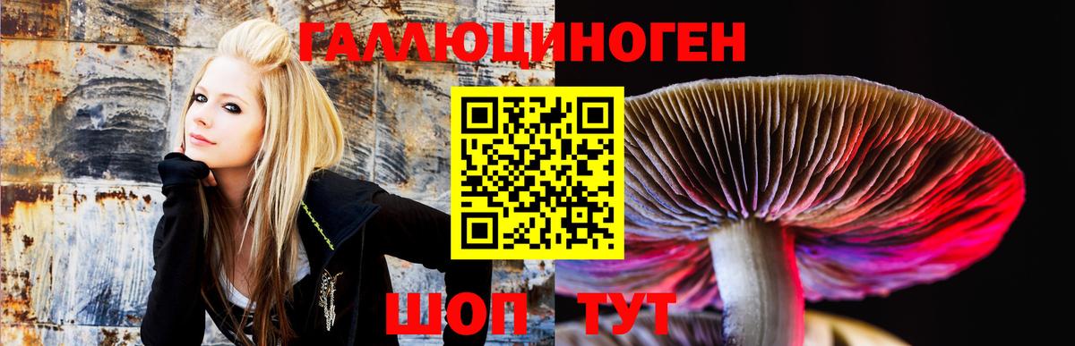 Георгиевск  Галлюциногенные грибы Psilocybine cubensis  Галлюциногенные грибы мухоморы  Вход с VPN 