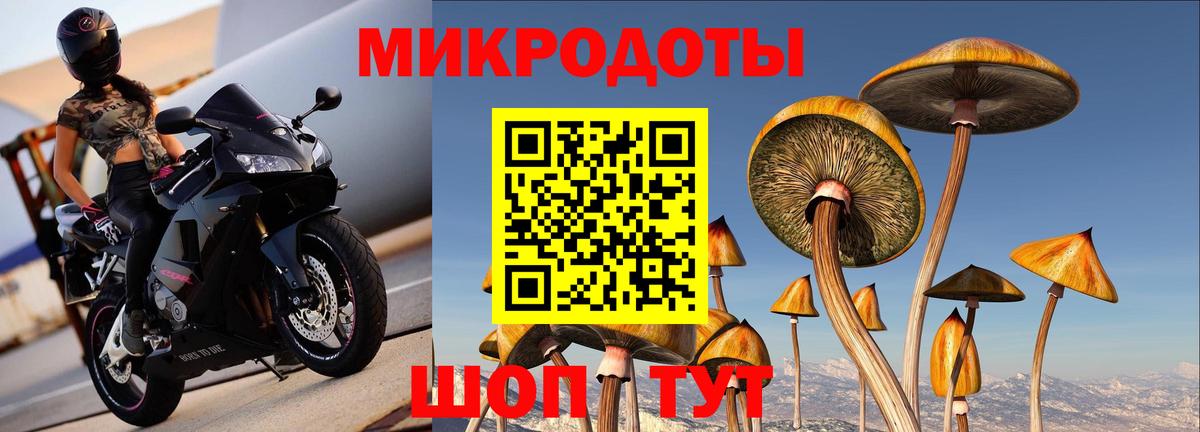 Псилоцибиновые грибы мухоморы Георгиевск